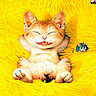 Ponim